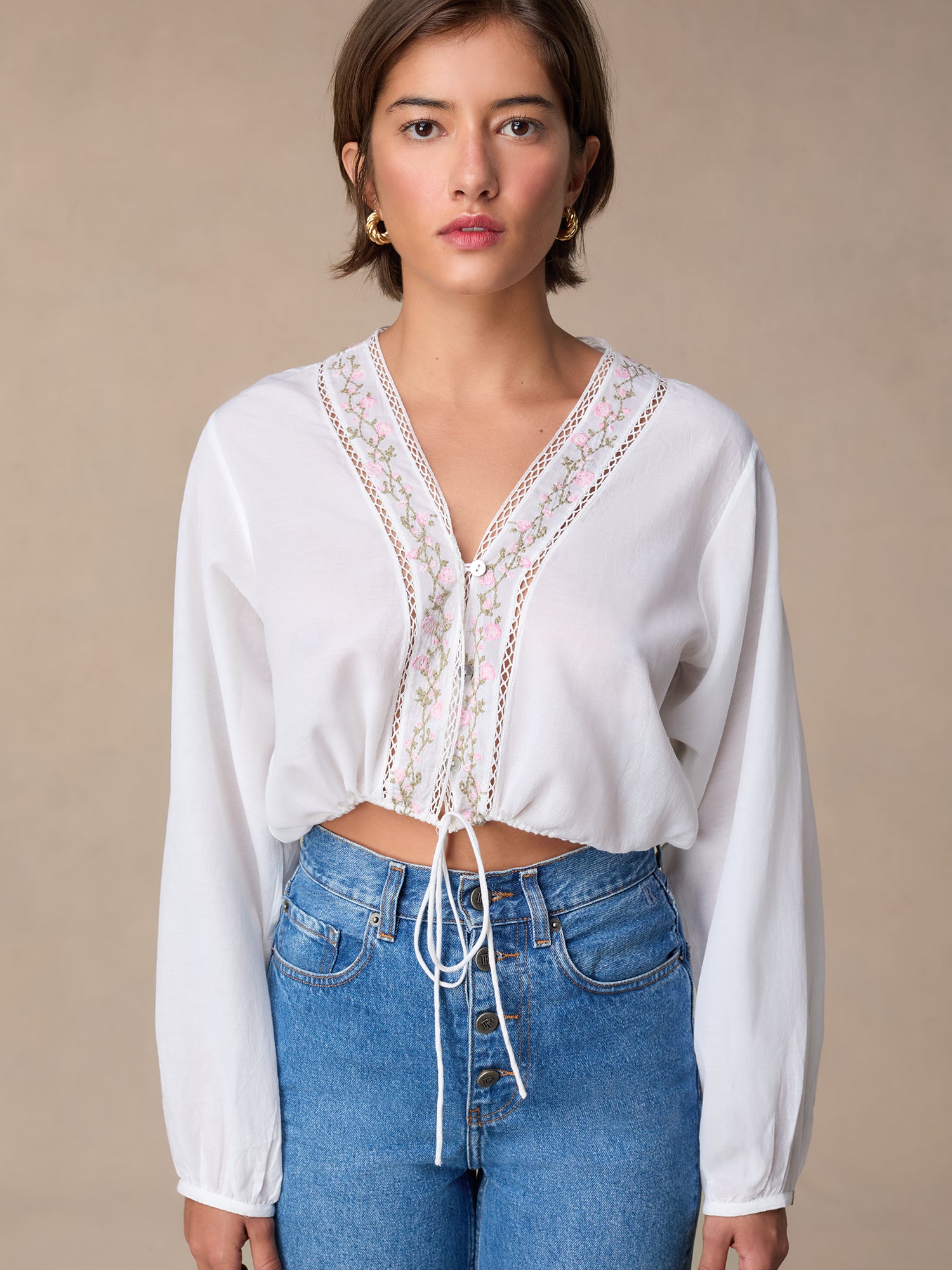 DARWIN top DARWIN top