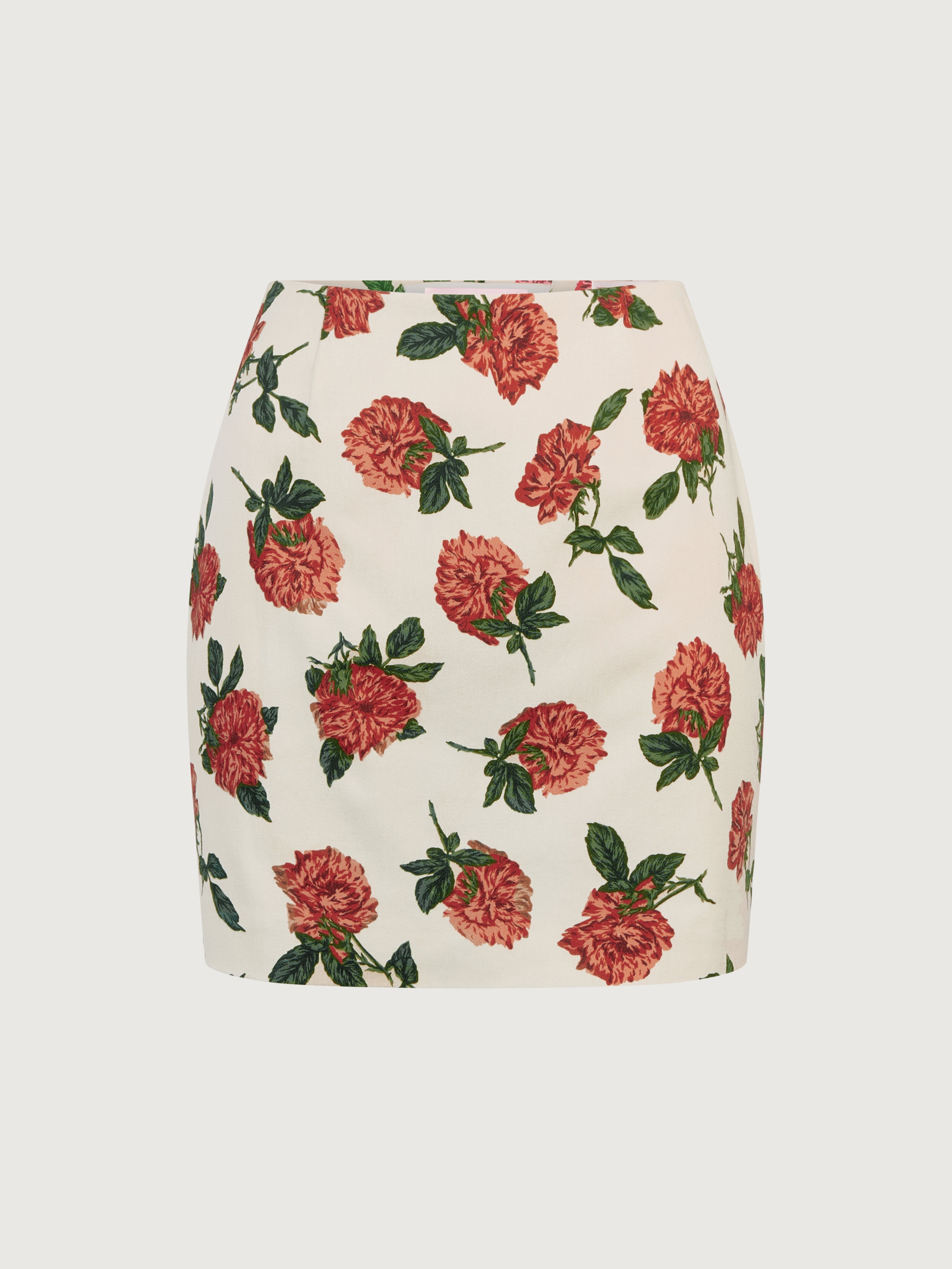 ANICET skirt