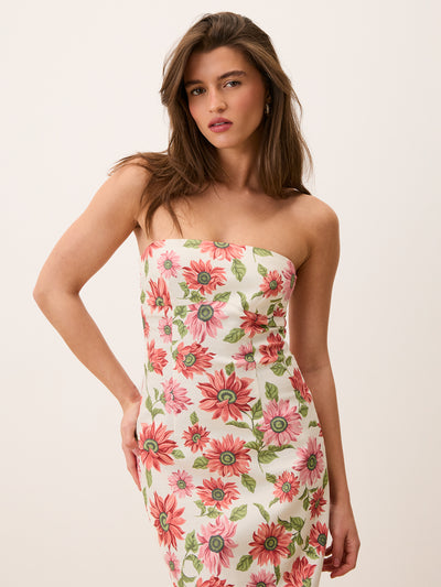 Robe EVY