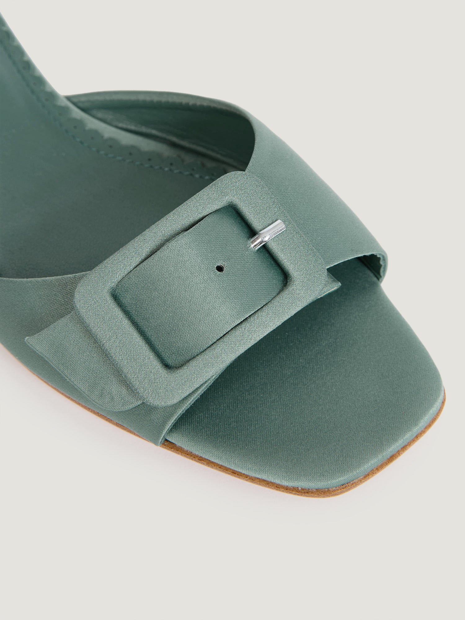 PALMA mules